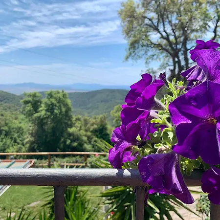 Arcobaleno 住宿加早餐酒店 3*