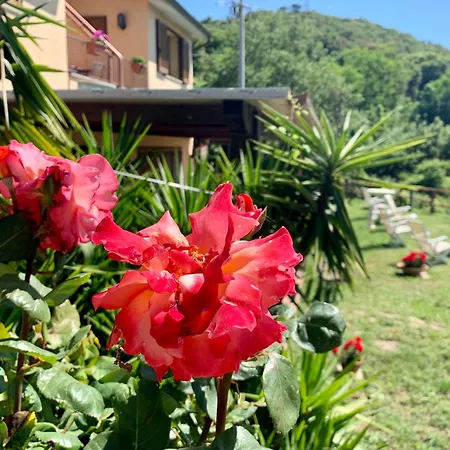 住宿加早餐酒店 Arcobaleno
