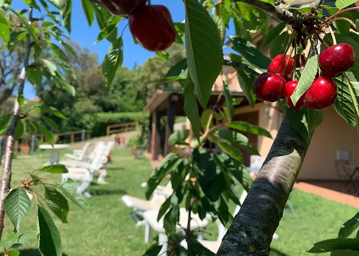 Arcobaleno Bed & Breakfast Tirli (Grosseto)