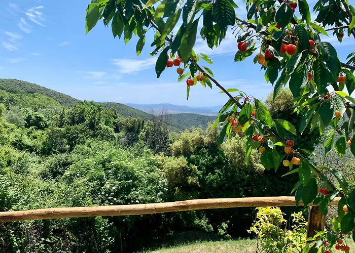 Bed & Breakfast Arcobaleno